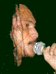 xo9a.gif (3037 bytes)
